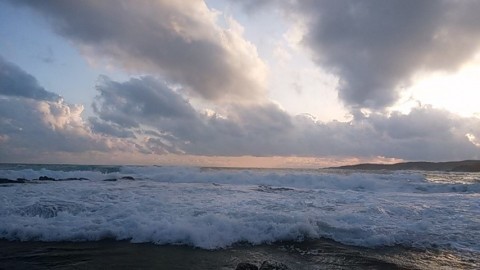 n7iyr3cb8j85khwyvx9p_480_480-dfc8e72d.jpg