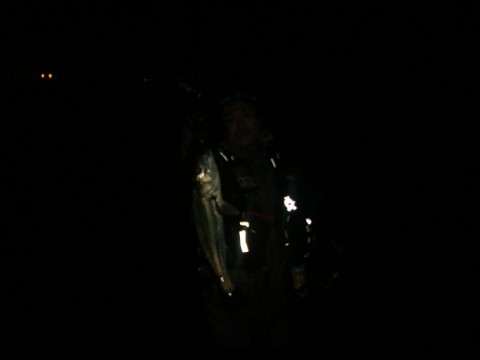 n7pks75xe6wew92x5jjm_480_480-55a01bc0.jpg