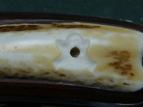 n7u5vjiojazcpkhk4g6c_480_480-69905286.jpg