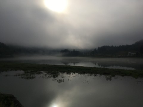 n7y9mv2dtnnw5jp857fv_480_480-2ab313ba.jpg