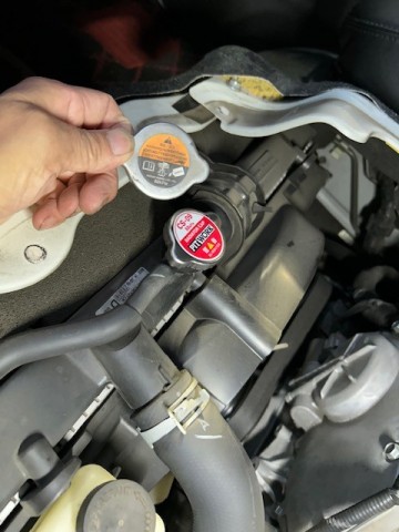 n876osktxkfzbd7v8hhi_480_480-7c77d407.jpg
