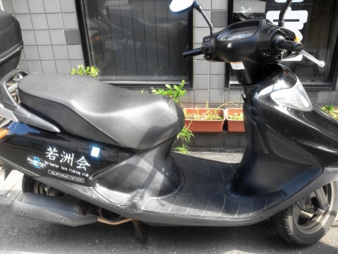 n89bk336pozggzfyzapc_920_690-0a816674.jpg