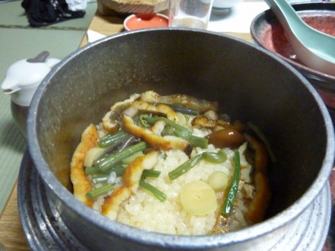 n8hks5cto56j2yt7xvtk_480_480-c8be0382.jpg