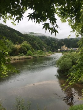 n8m2ux6hgzkwyvik2oo6_361_480-c5f78cf8.jpg