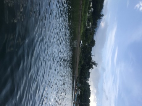 n8pwbawewhd9p2zvmrwb_480_480-80623b50.jpg