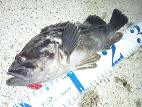 n8t2gaoew9bvrmcunf96_920_690-38652884.jpg