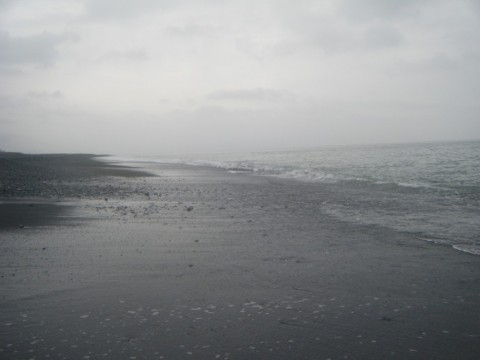 n8ufmyre7s6omtu2skjn_480_480-39975272.jpg