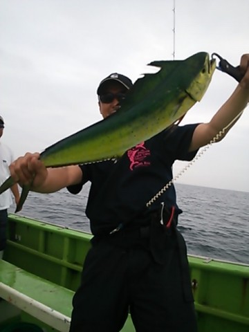 n937a4nxv2xpen7rzx3u_480_480-b86efdcb.jpg