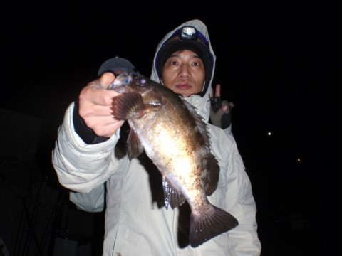 n94n8ezidu438jwy7g3r_480_480-f26a7eba.jpg