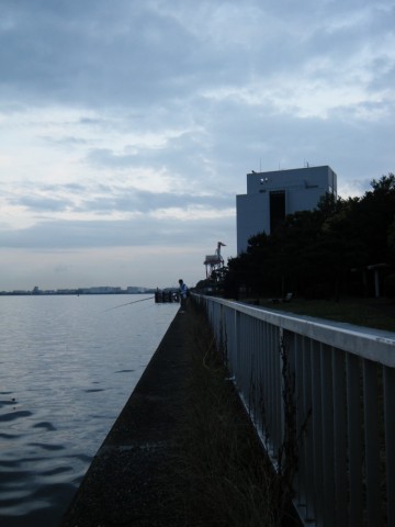 n97nb7s3nscg4w9jtwfr_480_480-aeab83a6.jpg