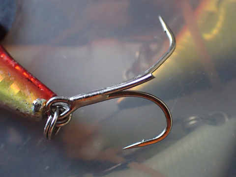 n9chg8zr8cm67sf7wxxg-d773e6ef.jpg