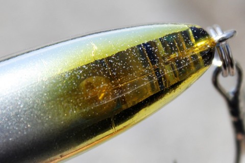 n9e8wdapfsutbmhpvgrk_480_480-8b98e2fd.jpg