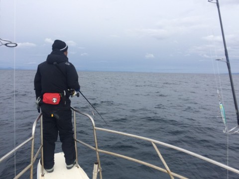 n9f587zm7xnb9hvmkkti_480_480-50acf459.jpg