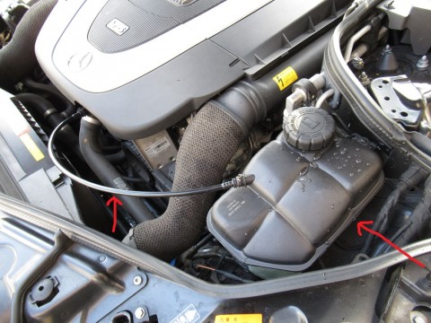 n9i5mhf6xn85uptpdvwx_480_480-89561561.jpg