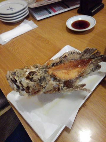 n9kmifvpckuy86tws7cb_480_480-9994198f.jpg