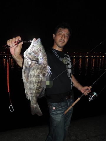 n9midwi5sapkp7fd6up7_480_480-ec15b7d5.jpg