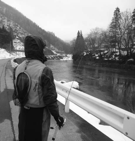 n9okj5sb4epke2x63z5m_480_480-609dc00d.jpg