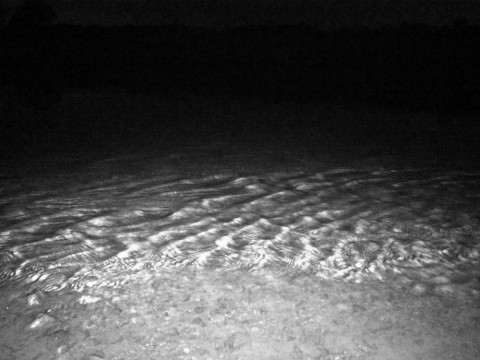 n9orb5632eax7k2gyvw8_480_480-9e95686f.jpg