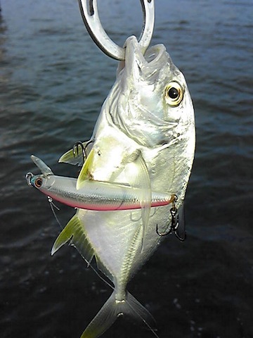 n9r8kiwdba9skv42s3co-b584c291.jpg