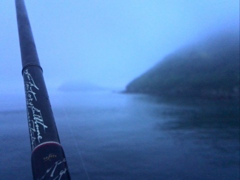 n9ragnb8xyb4jauaosgd_480_480-2e9a1536.jpg