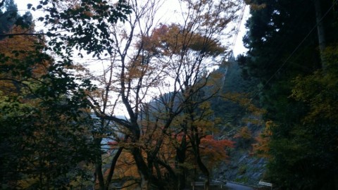 n9sjz3sakbwcirkonsxd_920_518-dc6df256.jpg