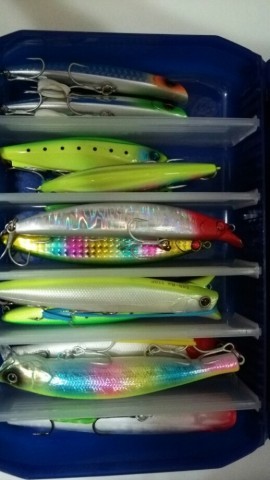 n9vhu8vtto4a45t6t5ba_518_920-dc2cd5e0.jpg