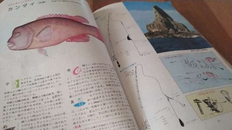 n9yusgicciafdgowewgw_480_480-09f8e5cd.jpg