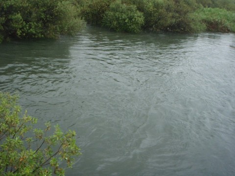 nLWnvN5sSddKxm2eFCe6_480_480-6c63c194.jpg