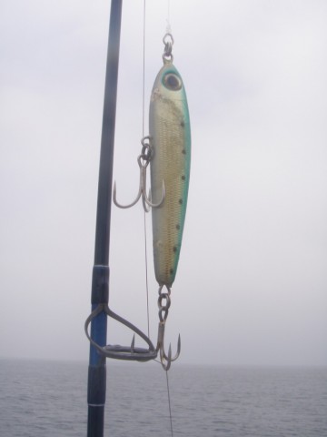 nX3SZ6tg4tG5iGb5tMoN_480_480-8b5c04a9.jpg