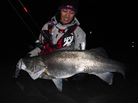 nakphebpigw878d97xxv_480_480-f59b5550.jpg