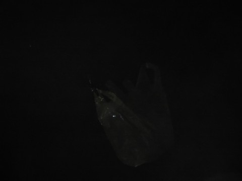nays8hcx6odyuv3ezzbk_480_480-c3deb365.jpg