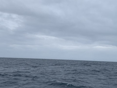 nazxs999wdhidvk653k7_480_361-8714ecb8.jpg