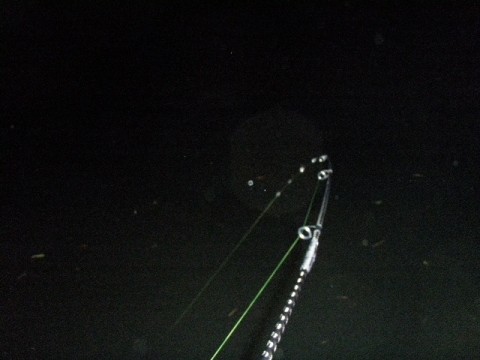 nb5b2h9ni3p5e6osei59_480_480-66fcd414.jpg