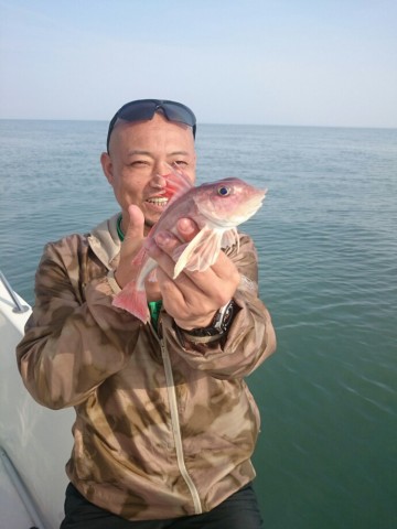 nb5w29cgc2ji2fo6ejba_690_920-83282427.jpg