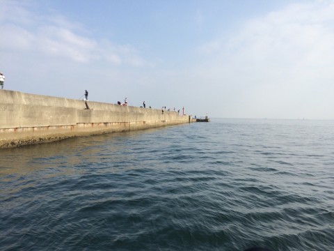nbhfobnjwfcrzsifxinp_920_690-f5413efe.jpg
