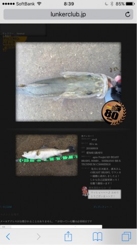 nbra3m5aepeoryiv9pad_518_921-ce26b894.jpg