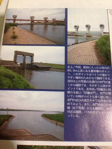 nbwfb4iveaby8uuwvn3a_690_920-730cd2fc.jpg