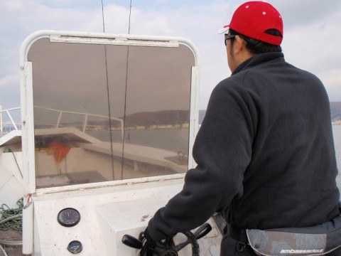 nbyisdbytwj444bvzn32_480_480-2c90c742.jpg