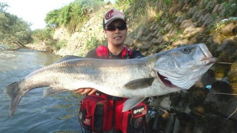 ncj3anw9f3trishvtbaw_480_480-96e3f6af.jpg