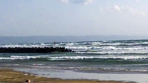 ncn7hiisih9ov5o38nmb_480_480-ccea6e20.jpg