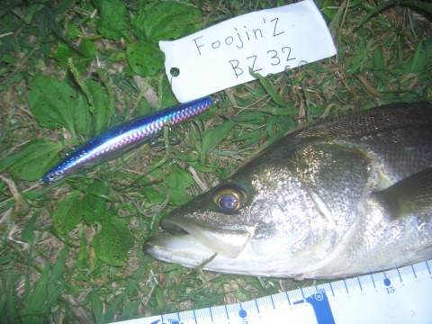 ncogjs8ypi6bzsygdwug_480_480-059ff138.jpg