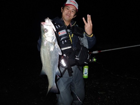 ncpoxobf382guahywfky_480_480-c6106217.jpg