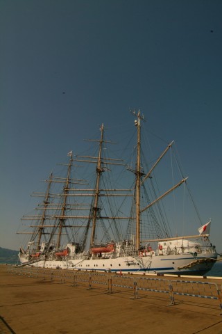 nd6nsnyfkgeiundpct6u_480_480-4054efe7.jpg