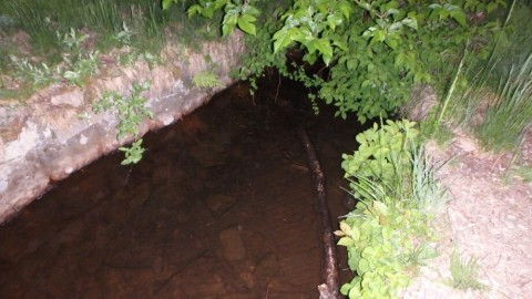 nd79bxd8ejssdizs5y7z_920_518-42a37c9c.jpg