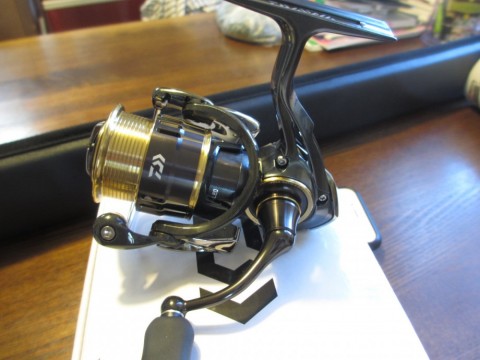 nd8fm77c6zj28o4kjtca_480_480-37f917a7.jpg