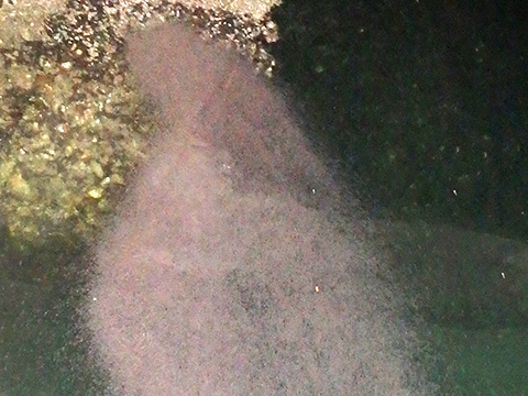 ndm3w4544guw8ryjgwhb-b4c50e1e.jpg