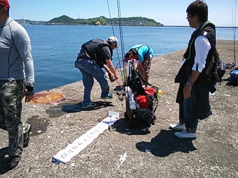 ndm98v3abo2aiu37guu5_640_480-d409840d.jpg