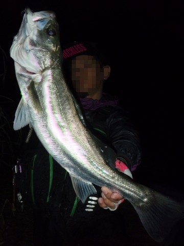 ndspdyukfwps3evir964_480_480-a7b72981.jpg