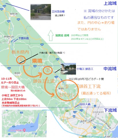 ndtgbije2fts2x2cgem6_480_480-63c7762d.jpg