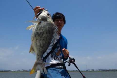 ndxs8c4r9oi3k8jinoht_480_480-8651968f.jpg